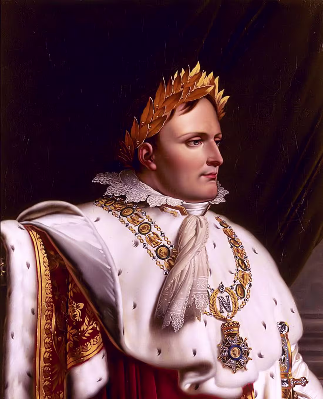 Cover image for The startling truths about the enigmatic Napoleon Bonaparte.
