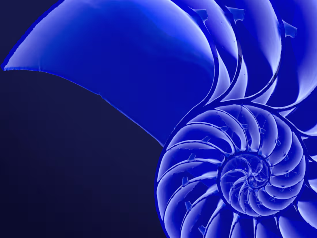 Cover image for Webflow Web Development