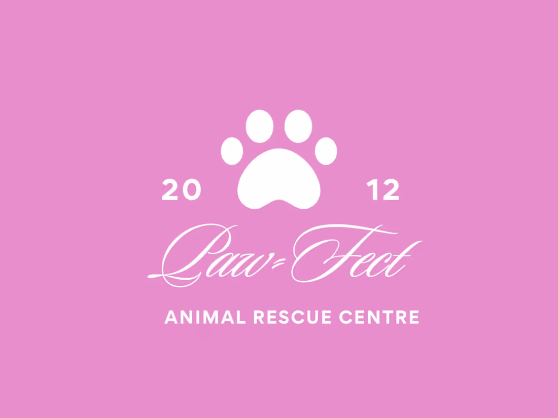 Cover image for Copy For Paw-fect Animal Rescue Centre