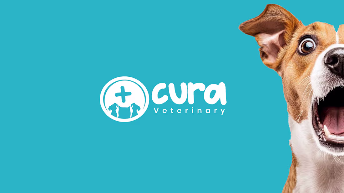 Cover image for Cura Veterinary — Designing the Language of Care Some brands...