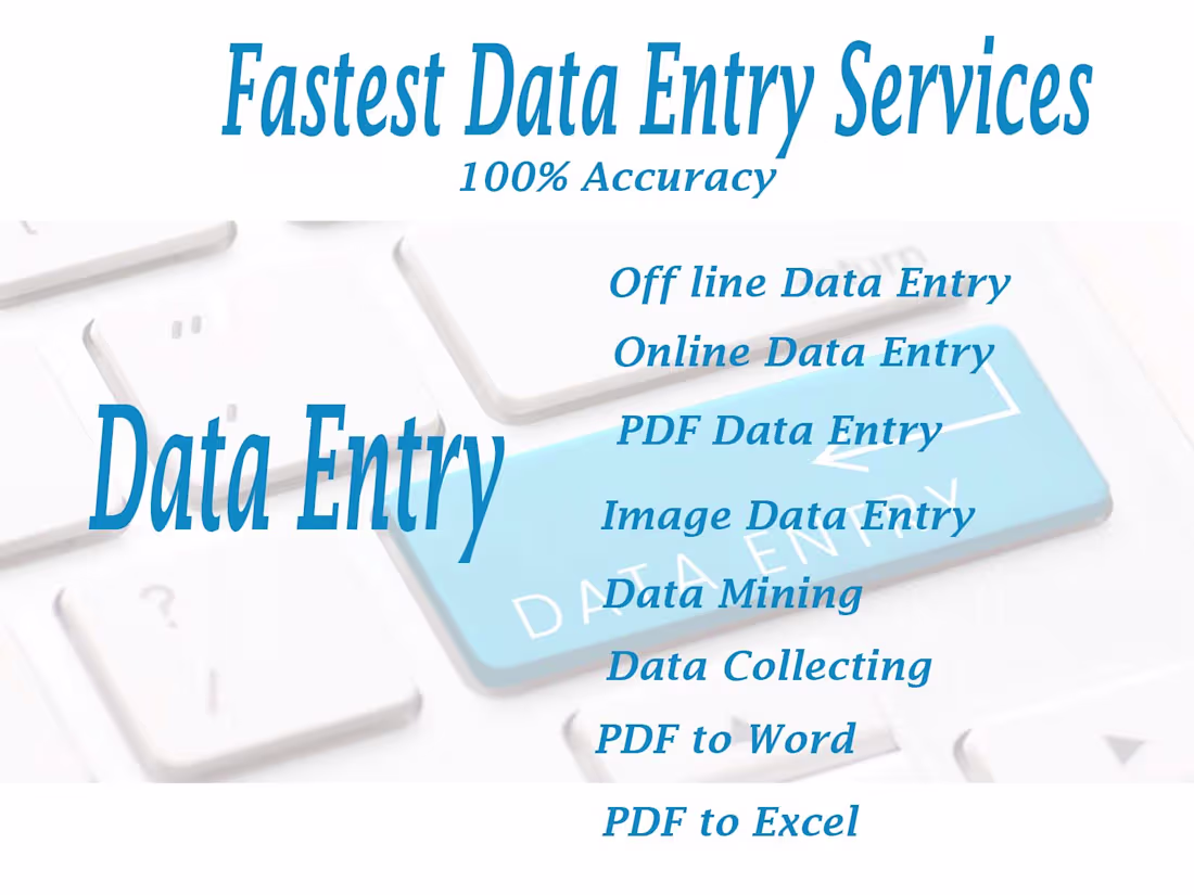 Cover image for fast data entry services