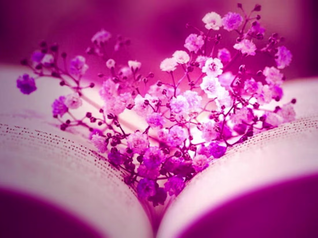 Cover image for Professional Translation Services