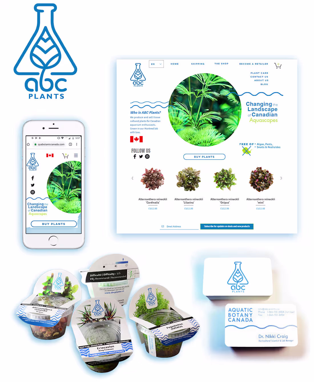 Cover image for Branding for ABC Plants