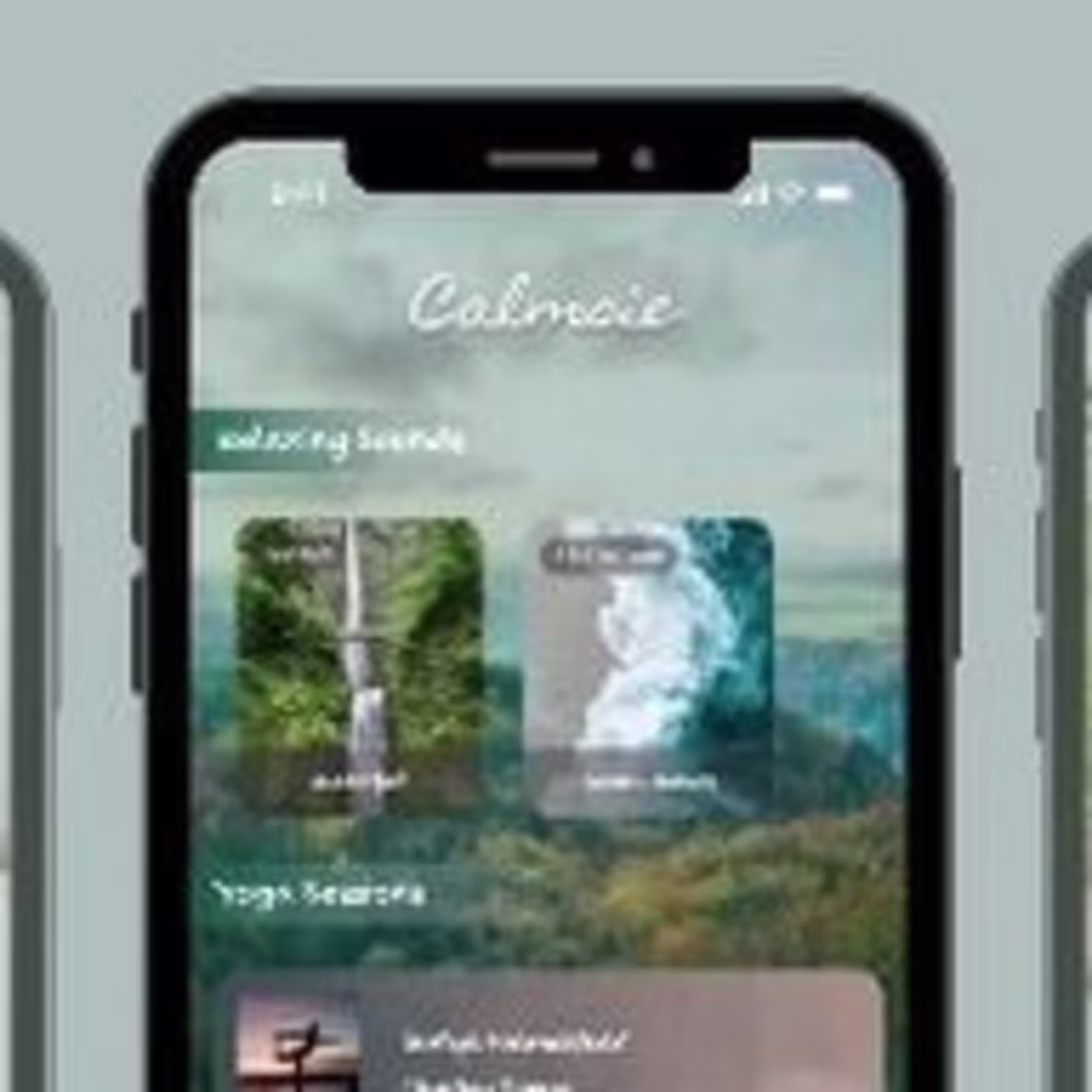 Cover image for Calmsie