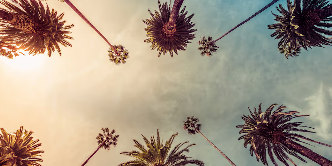 Cover image for Paid Social Media Advertising