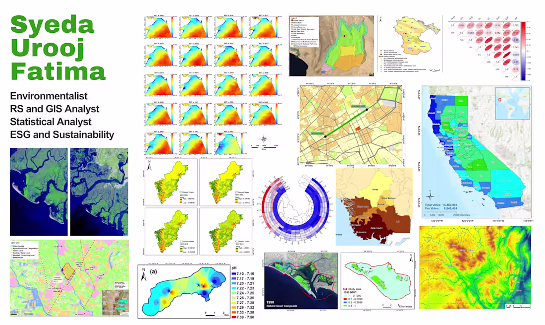 Cover image for GIS Mapping
