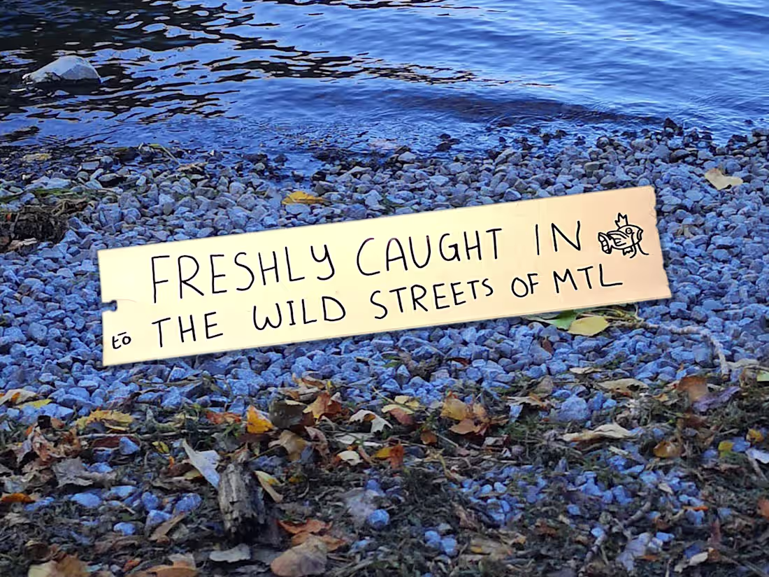 Cover image for ♻️ Turning trash into wall art