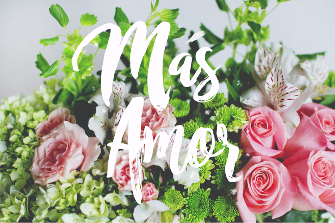 Cover image for Branding | Photography | Editing Flower Catalog