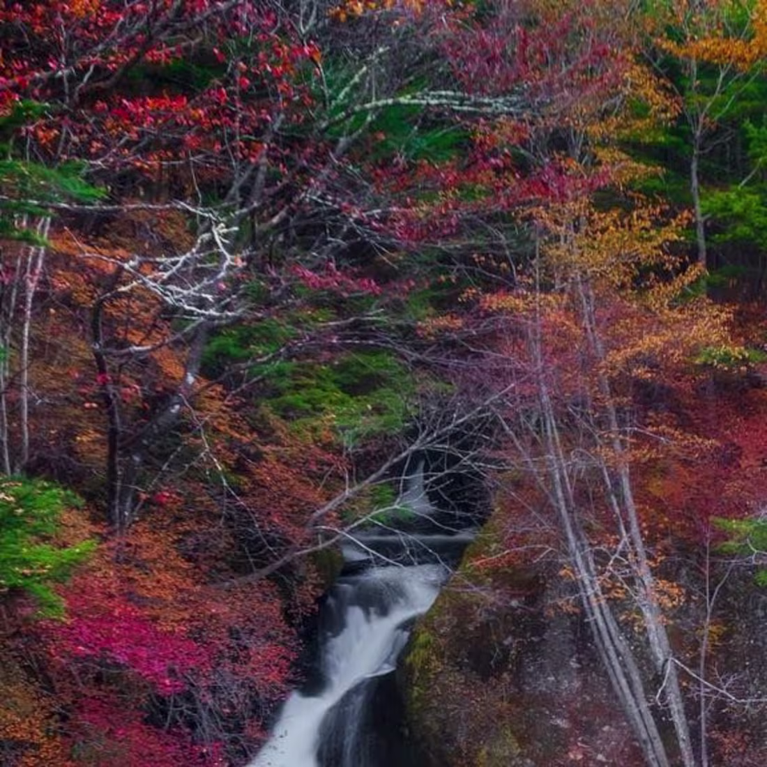 Cover image for Mochamad Arif Pamuda Darmawan on Instagram: ”“To sit in the sha…