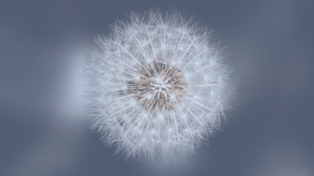 Cover image for Are You A HSP (Highly-Sensitive Person)?