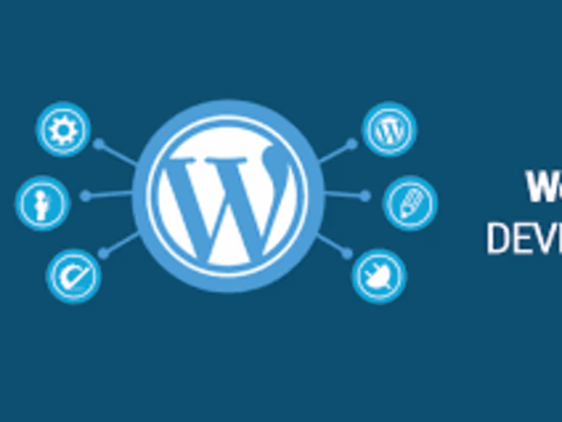 Cover image for Wordpress developer