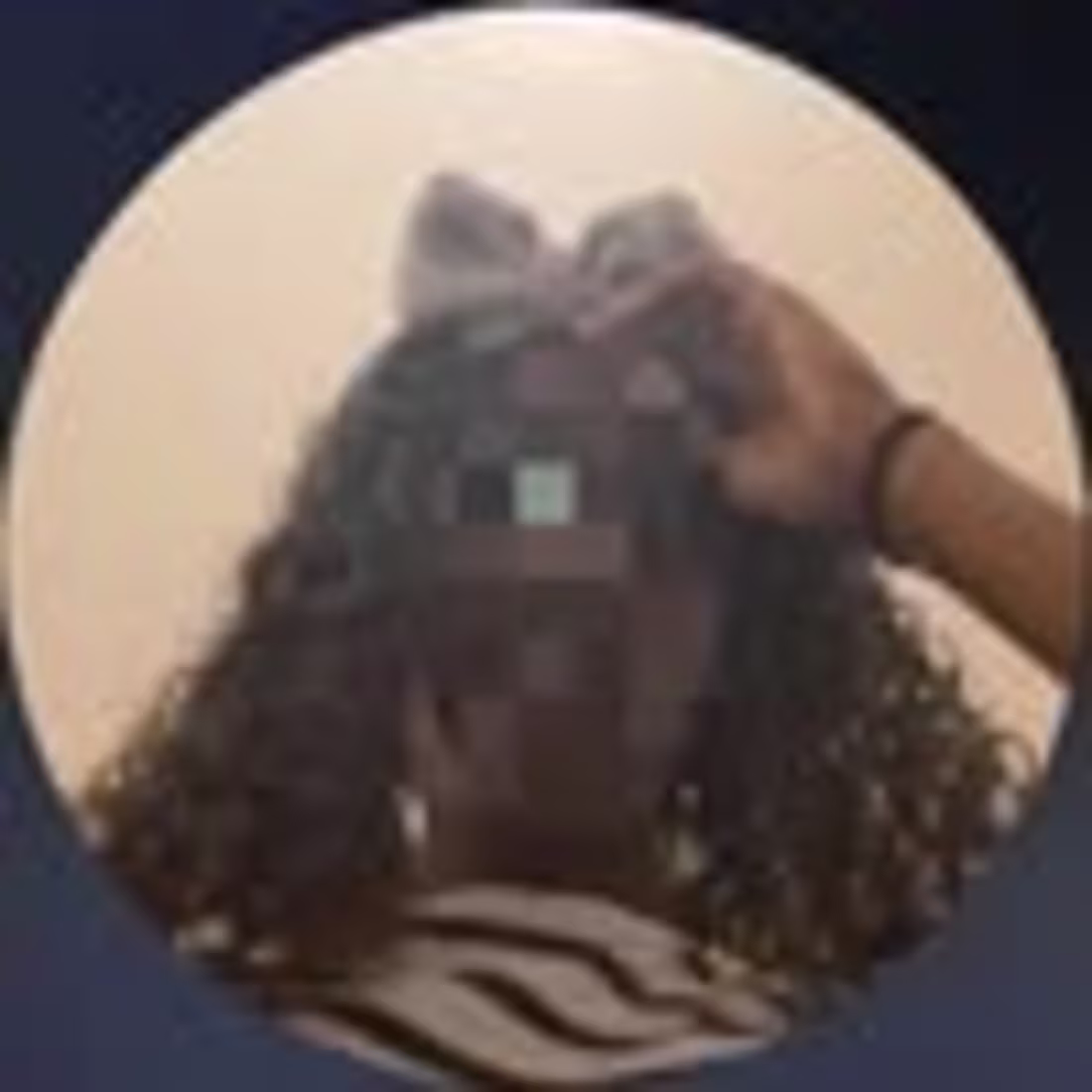 Cover image for Dingo Production Logo Design