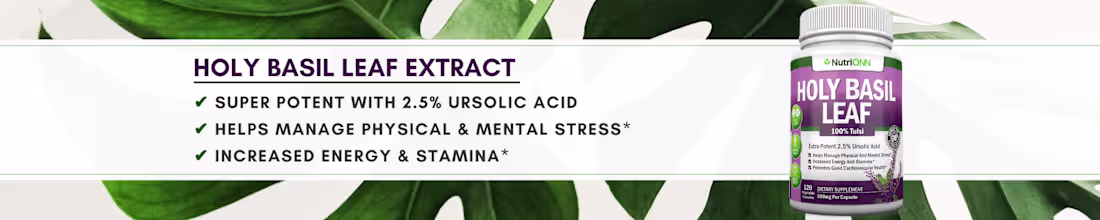 Cover image for SEO-Friendly Product Description & Amazon Storefront Design