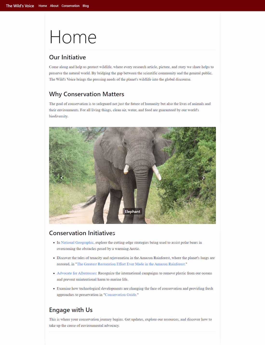 Cover image for The Wild's Voice