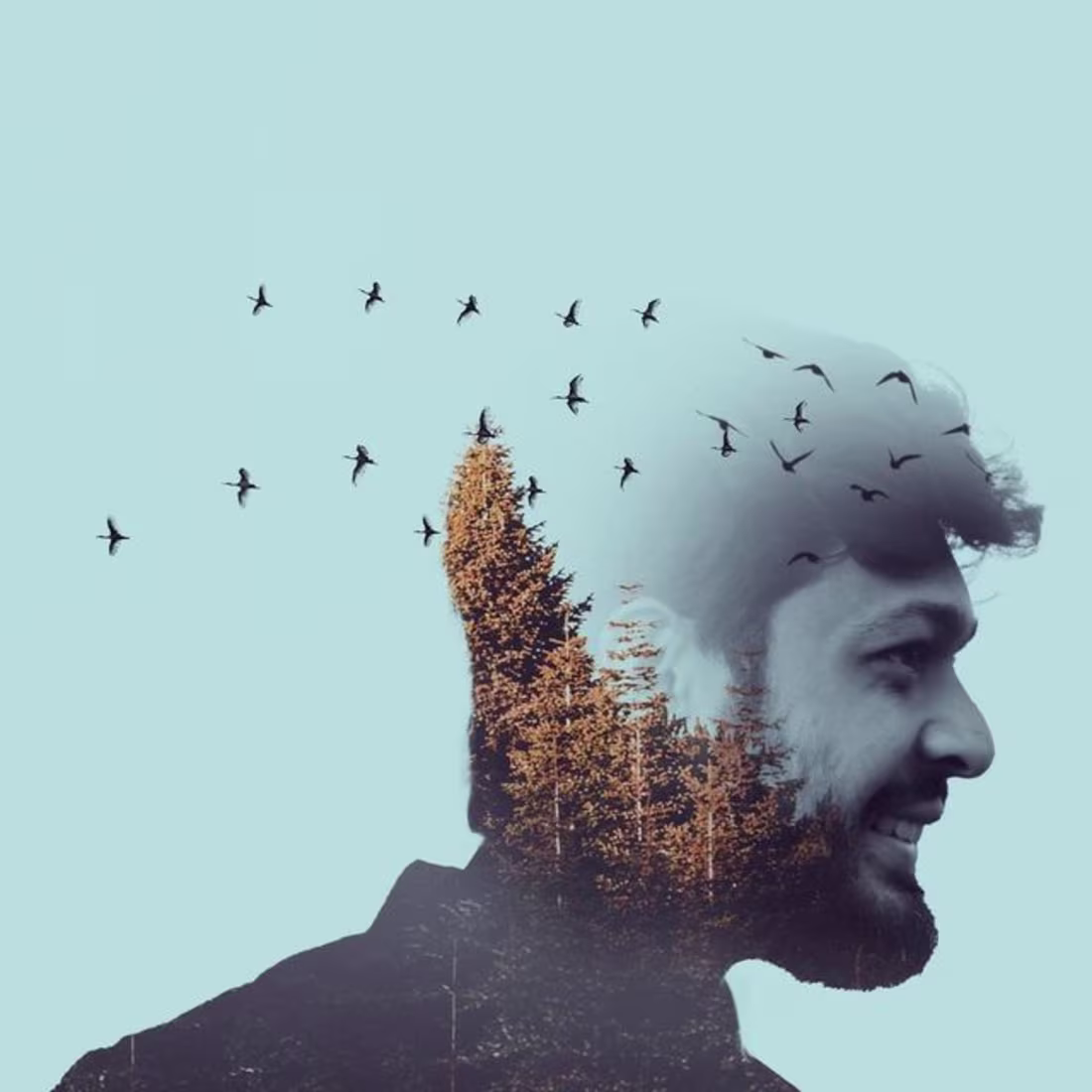 Cover image for “Dual Exposer"