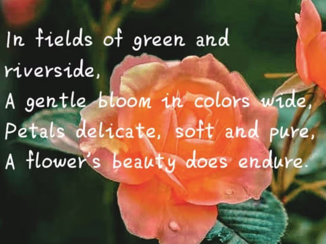 Cover image for Editing