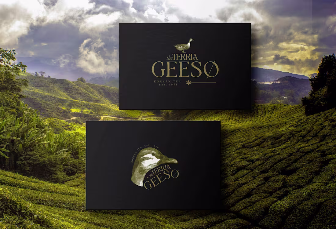 Cover image for Terrla Geeso/Premium Korean Tea Brand Identity Design