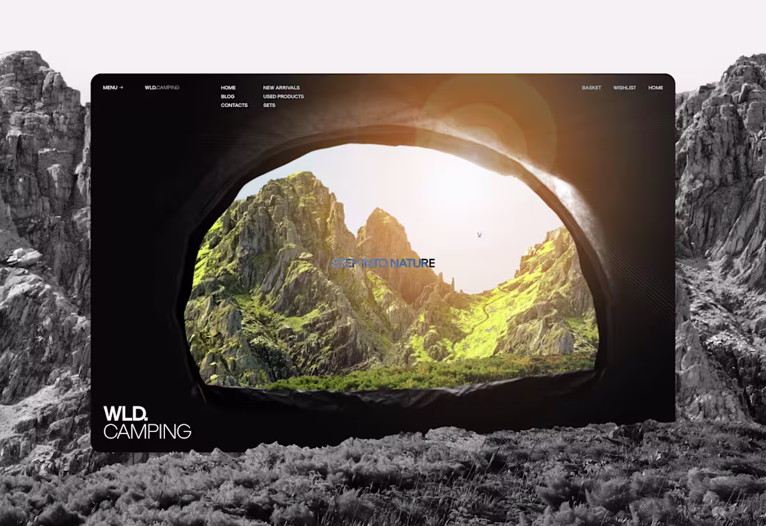 Cover image for WLD. Camping Store