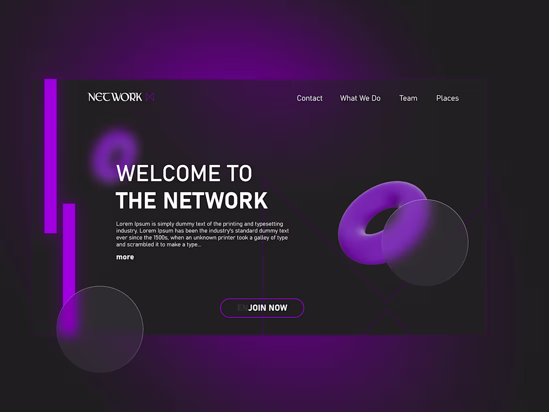 Cover image for NETWORK LANDPAGE DESIGN