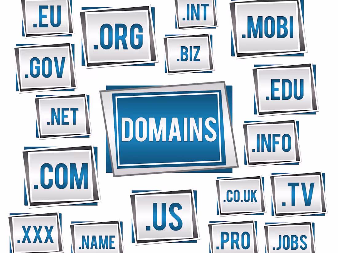 Cover image for Buying Domain