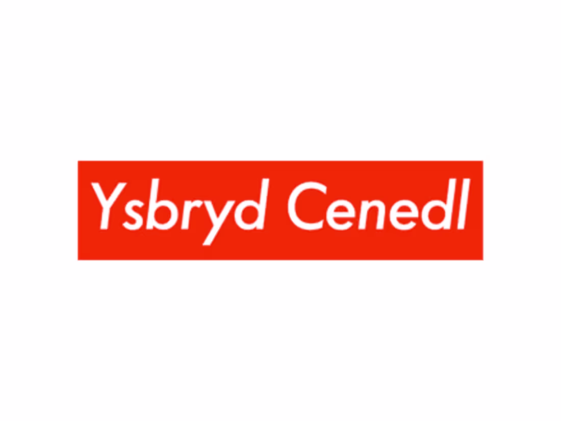 Cover image for Ysbryd Cenedl - The Nation's Spirit