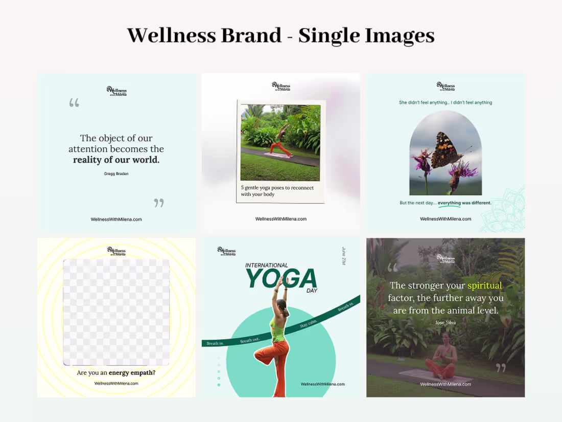 Cover image for 🍃 Designed cohesive social media