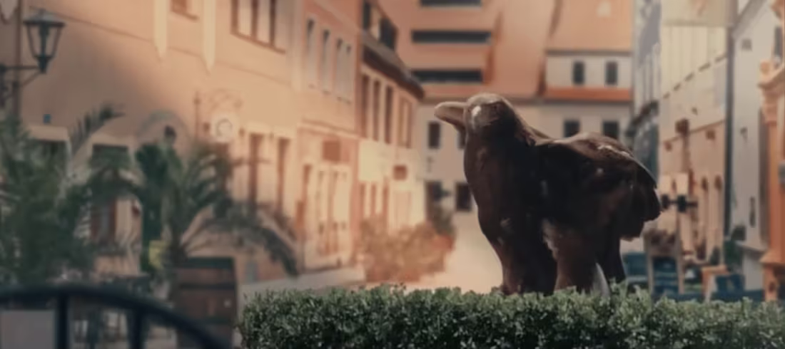 Cover image for VFX and Video Editing