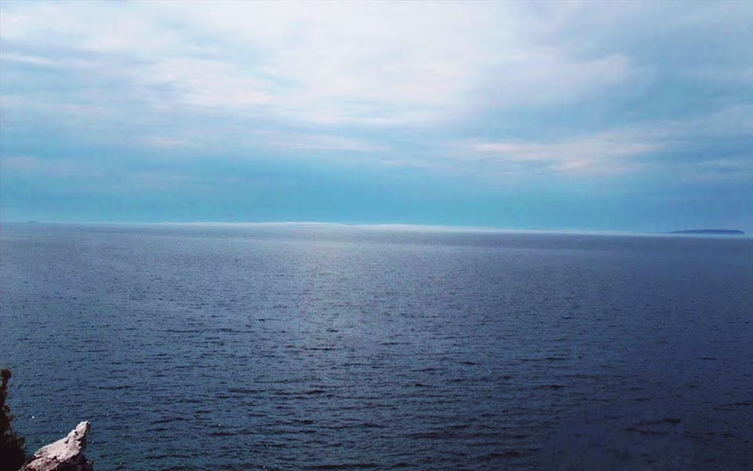 Cover image for Nature Based Photography