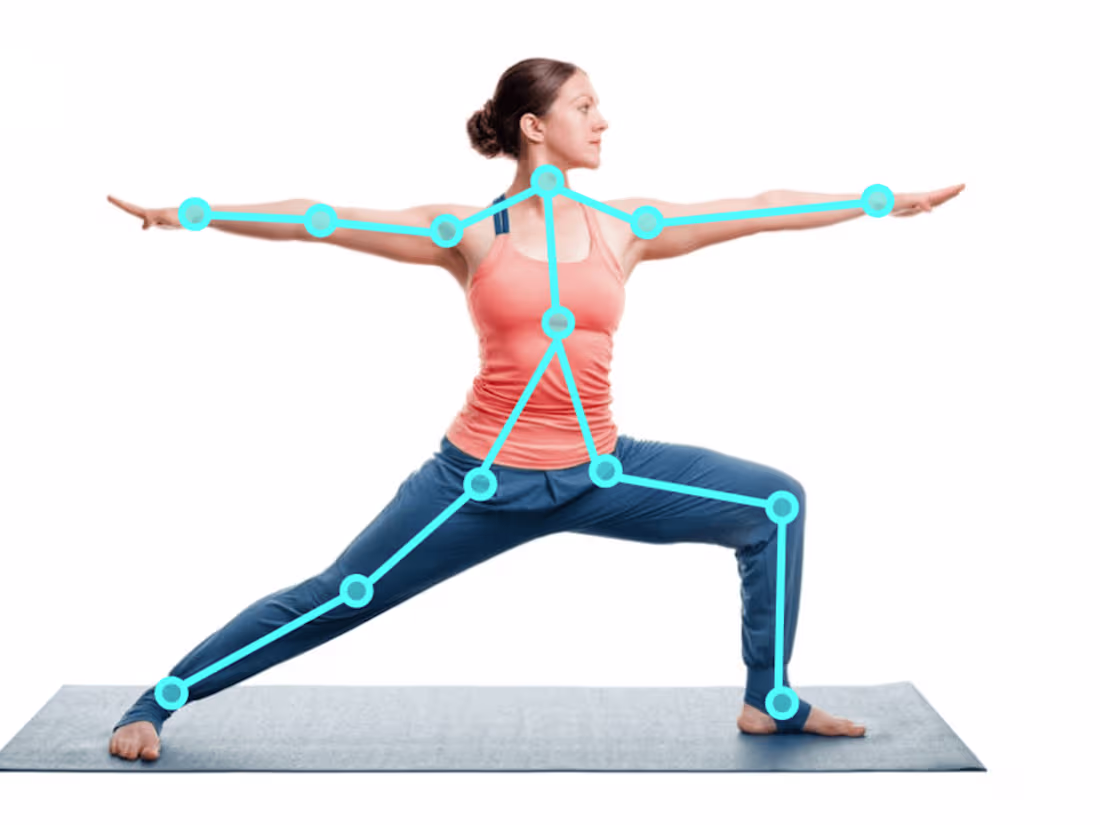 Cover image for Pose Estimation for Human Motion Analysis