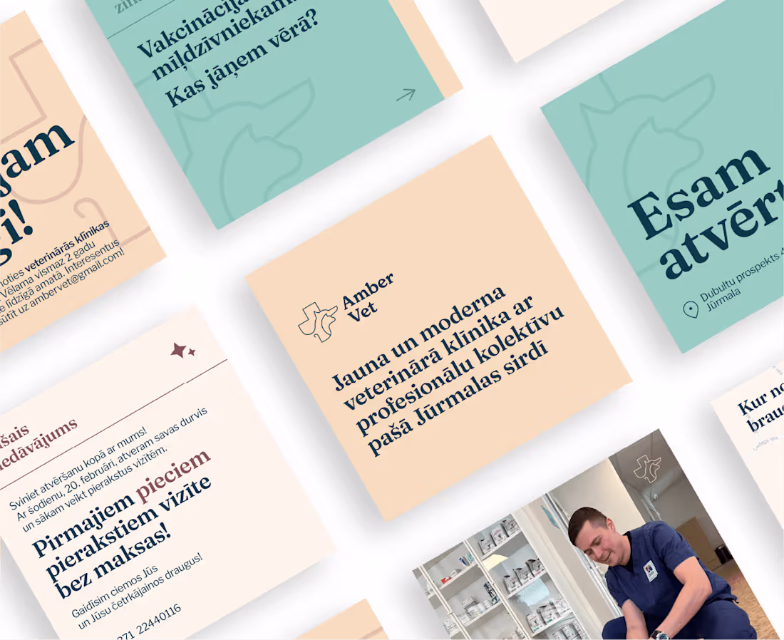 Cover image for Amber Vet | Branding & Web design