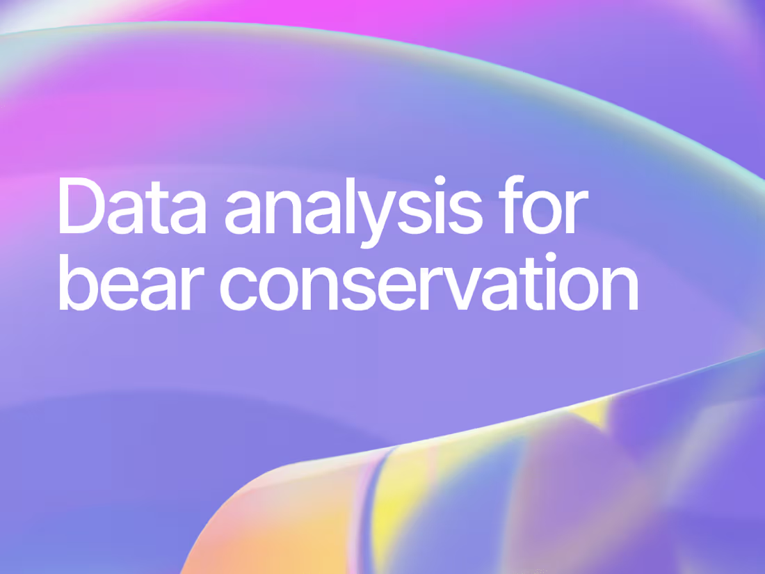 Cover image for Bear Conservation Data Analysis