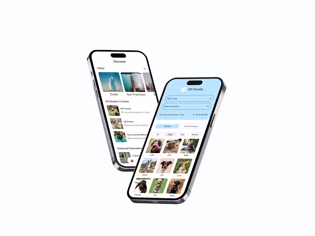 Cover image for Animaly