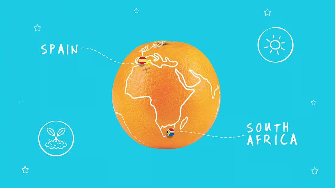 Cover image for Jaffa Juicy Oranges - Explainer Video