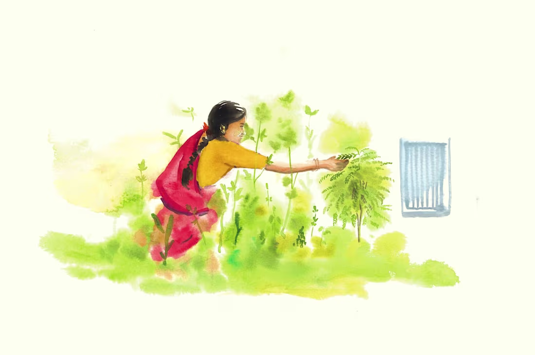 Cover image for Karivepaku (Curry leaves): A treasure to the Indian kitchen