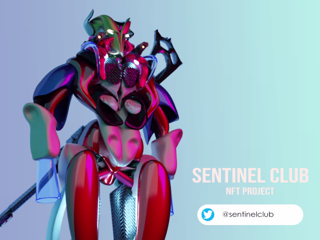 Cover image for NFT PROJECT -  THE SENTINEL CLUB