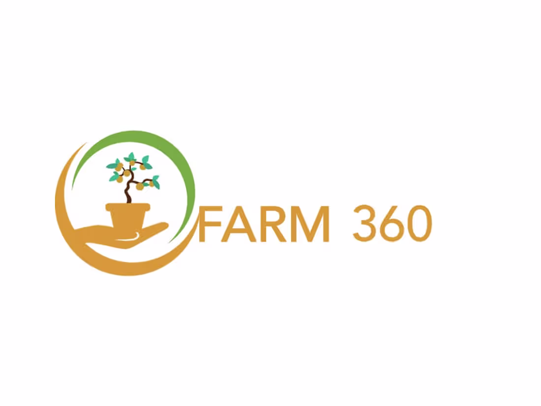 Cover image for Policies, Constitution and Activities Report