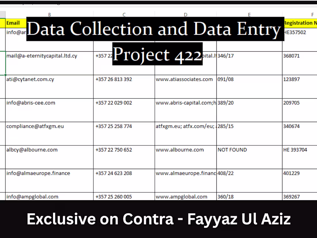 Cover image for 📊 Completed Project: Data Collection & Data Entry – Financi...