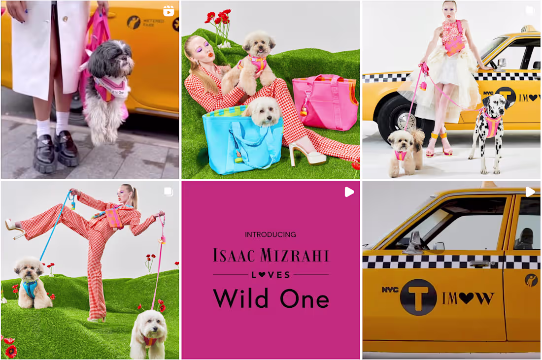 Cover image for Social Media Management: Isaac Loves Wild One