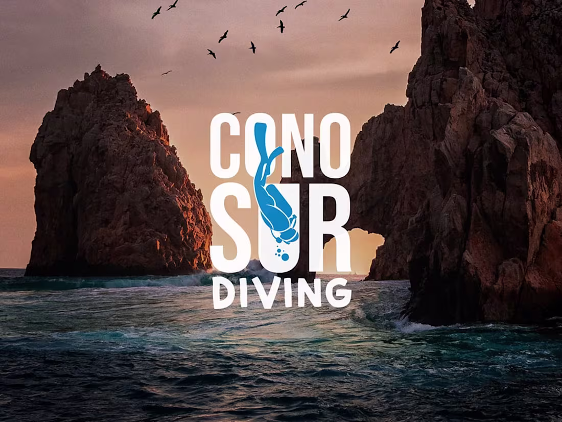 Cover image for Cono Sur Diving | Visual Identity