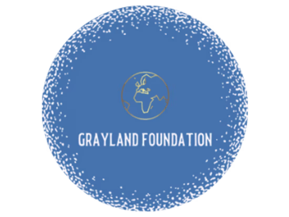 Cover image for A Gray of Sunshine