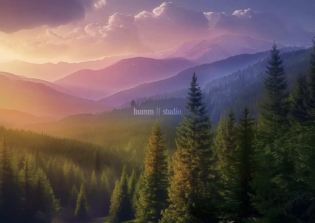 Cover image for Exploring new lights and heights. 🙌