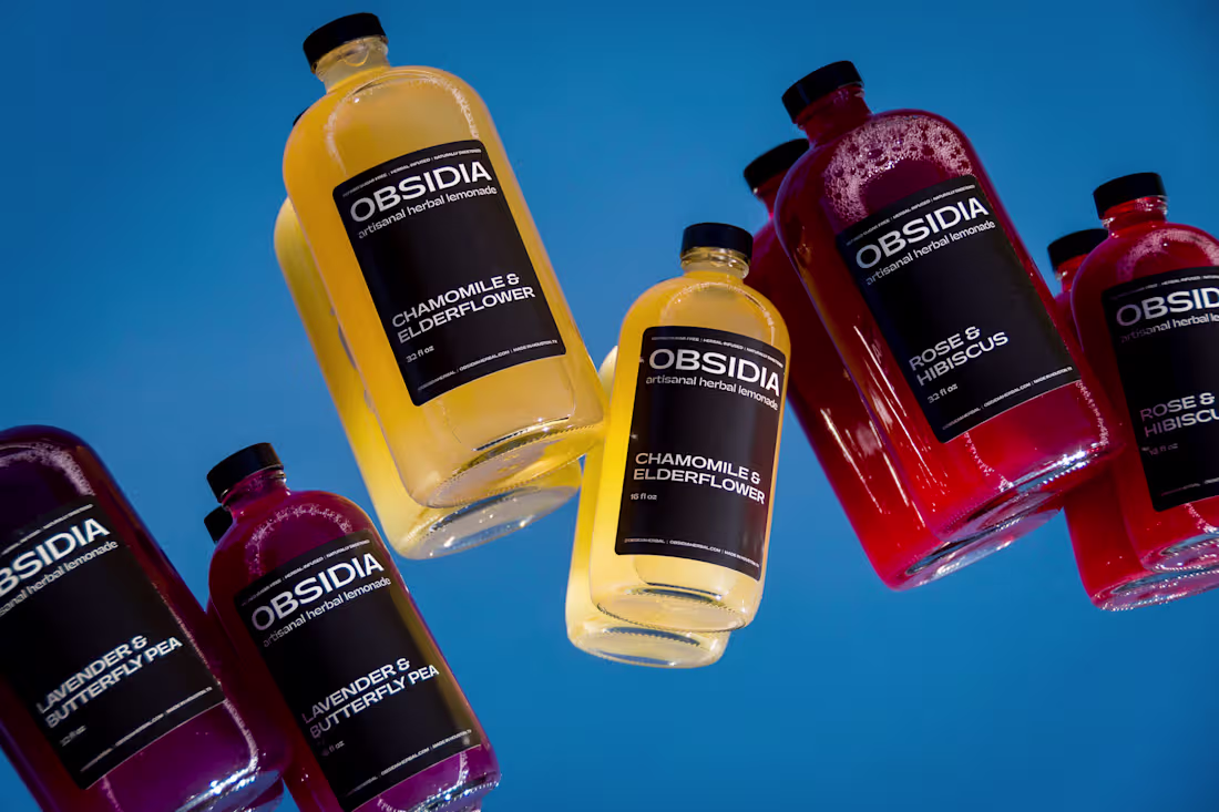 Cover image for Obsidia | Transforming a Vision into Obsidia