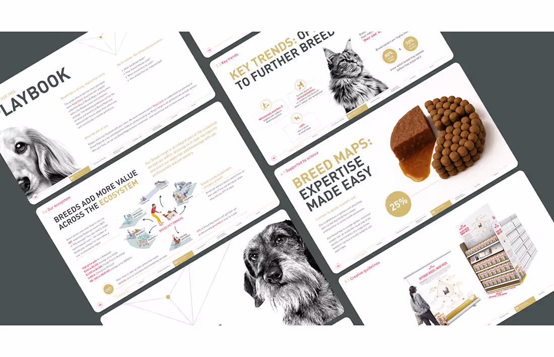 Cover image for Nutrition-Centered Design represents my collaborative