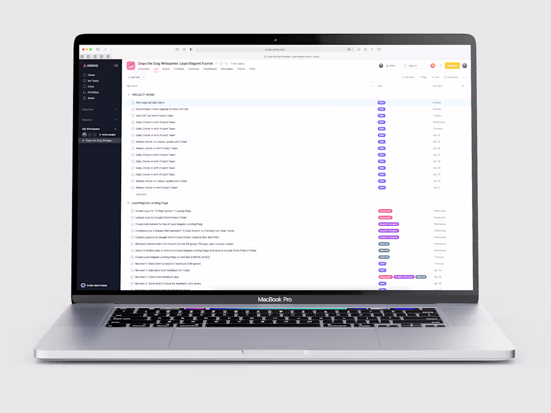Cover image for Lead Magnet Funnel Launch