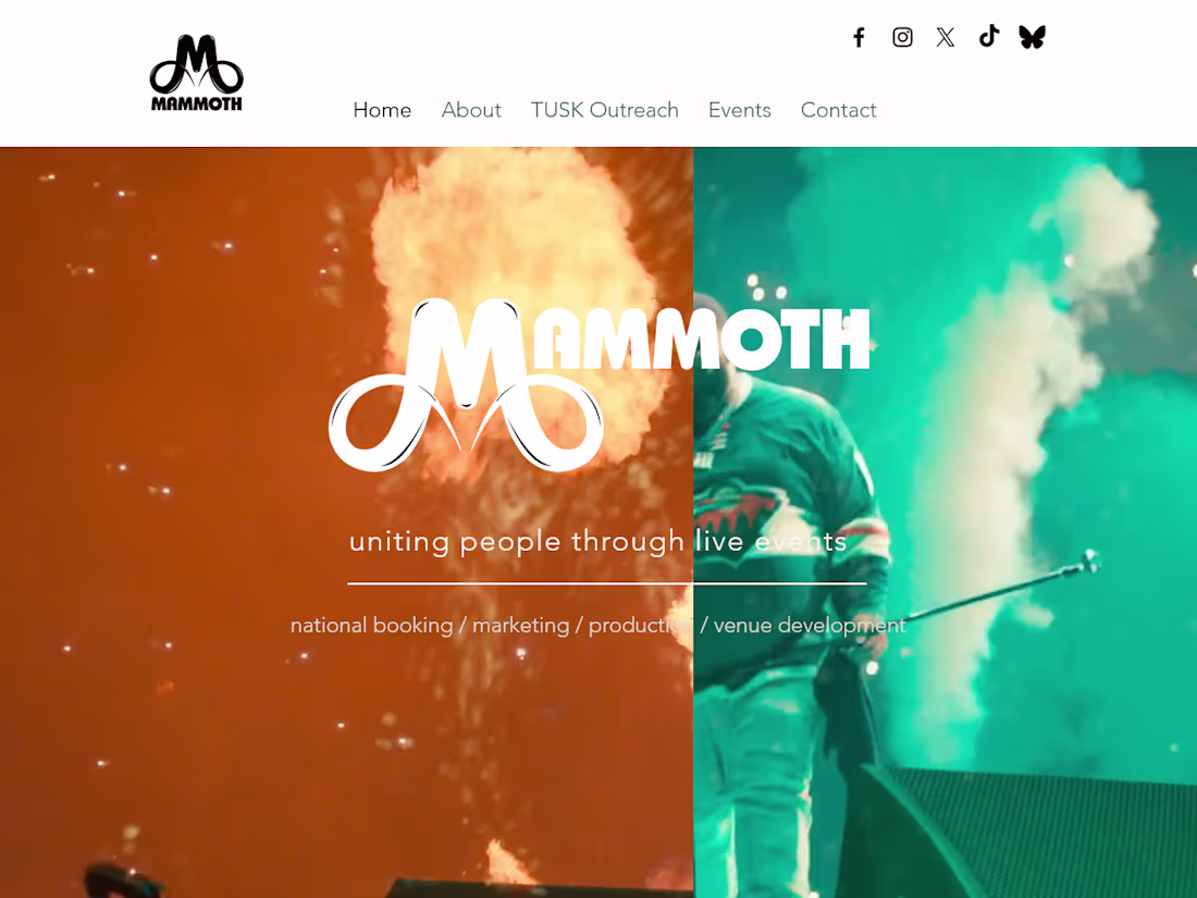 Cover image for Website Development - Mammoth