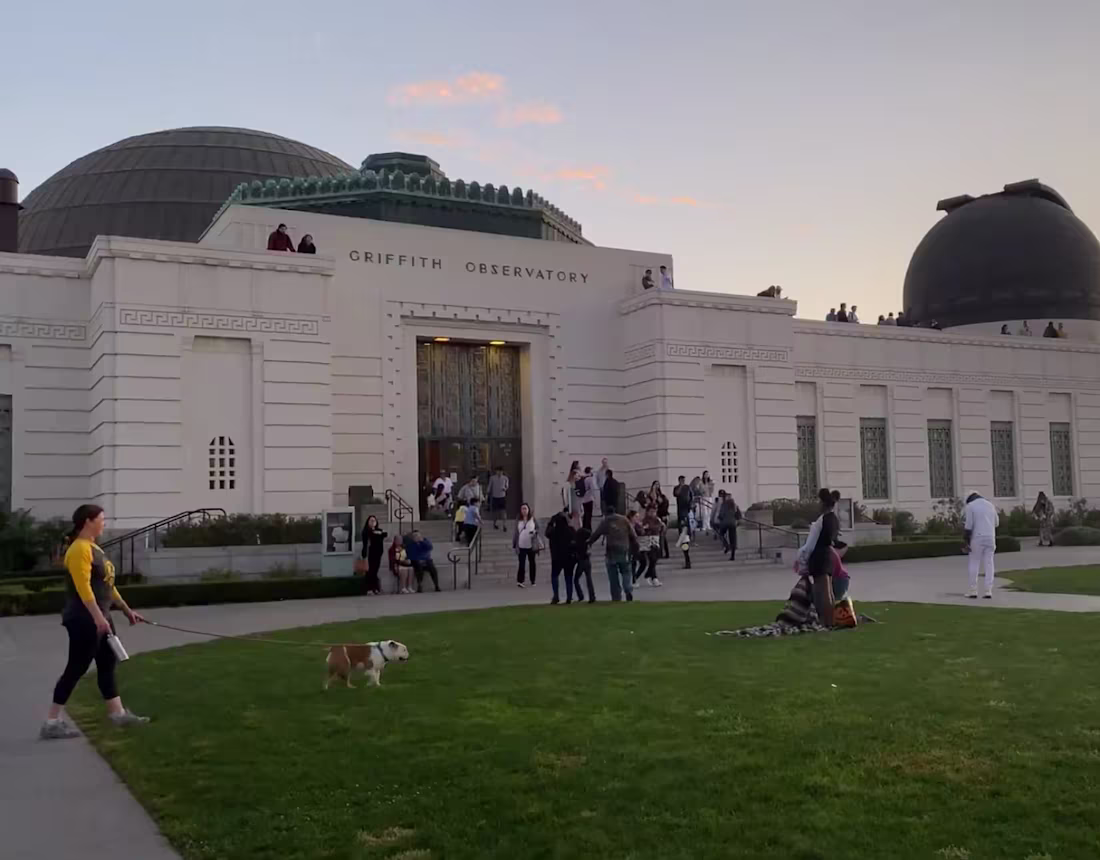 Cover image for Adobe MAX 2019