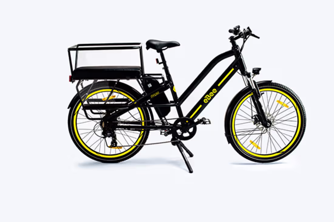 Cover image for eBee Africa