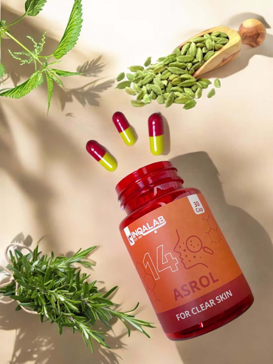 Cover image for Branding for INQALAB, a holistic healthcare brand.