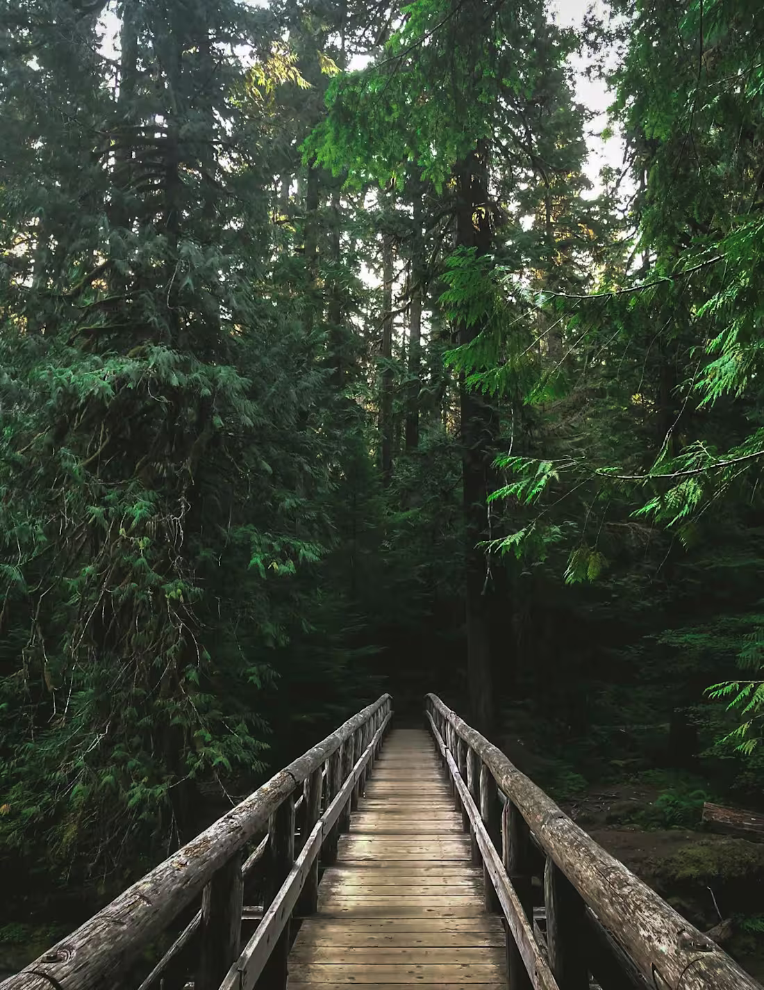 Cover image for Small Business Marketing Consultations