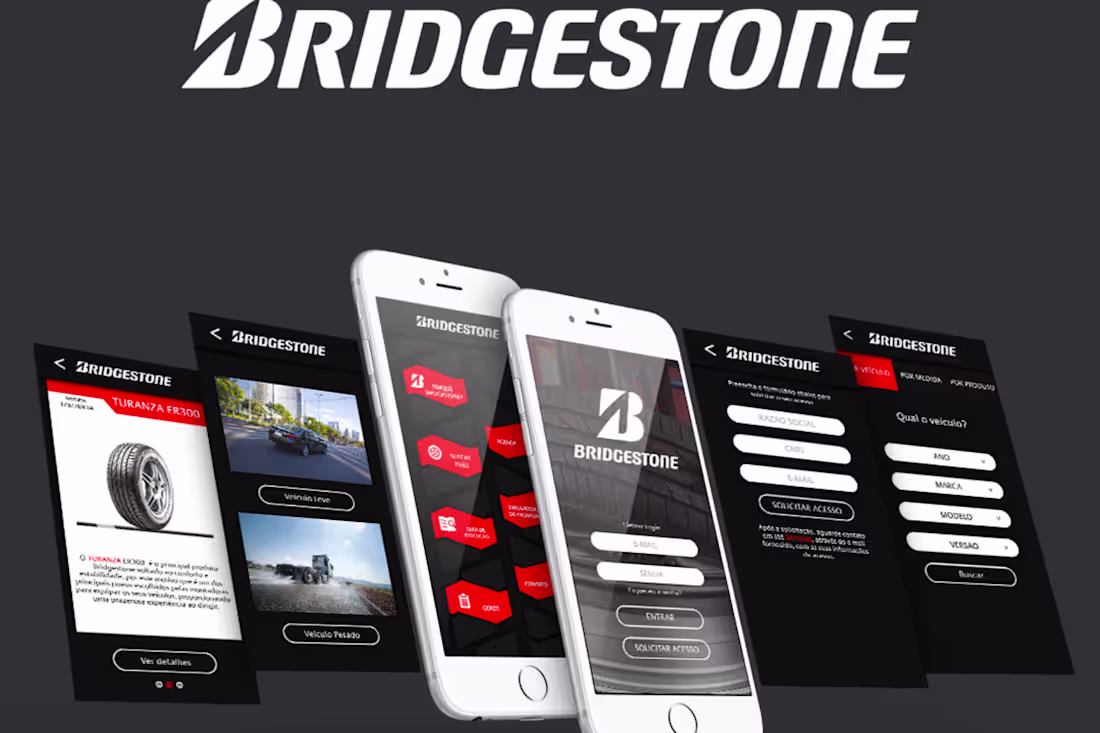 Cover image for Bridgestone - Brazil